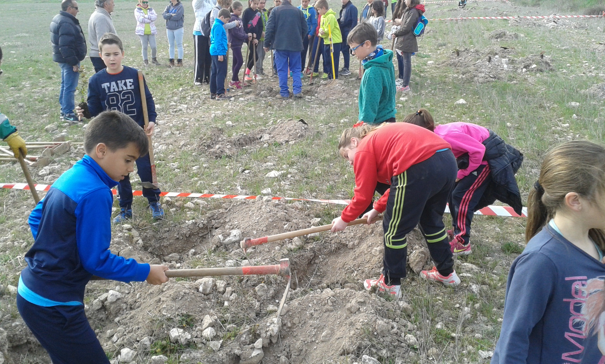 plantacion 2017 (6)