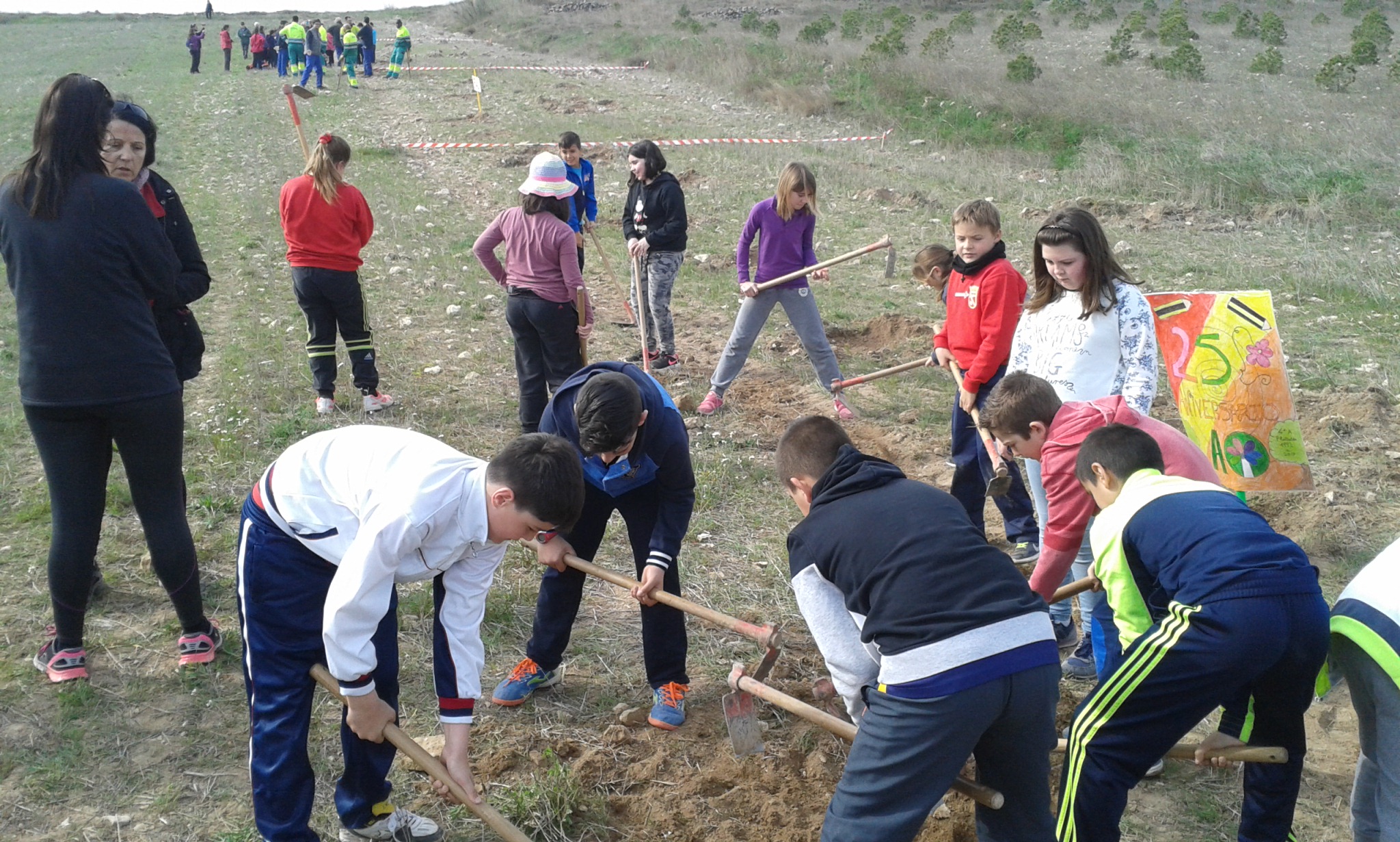 plantacion 2017 (9)