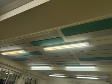 PANELES DE ABSORCIÓN DE RUIDO EN EL COMEDOR